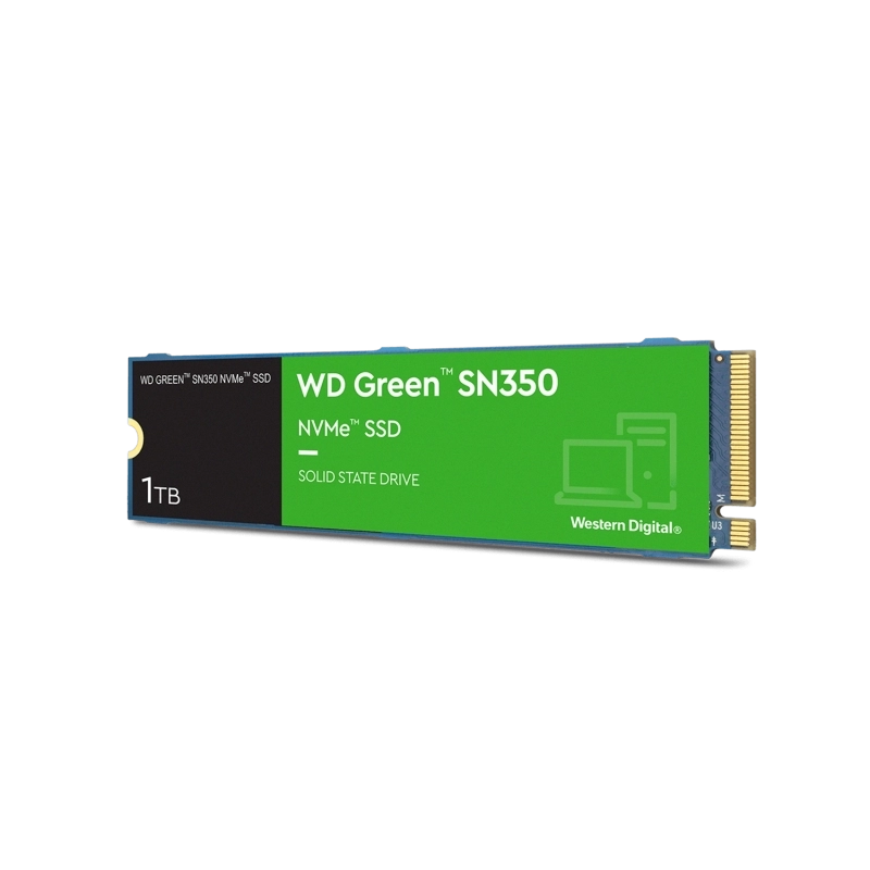 WDS100T3G0C-1